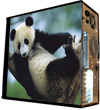      midi tower   Giant Panda 4843   