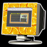 Картонная рамка для 17  монитора   Апельсины