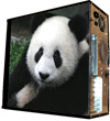 Глянцевые обои для корпуса (миди-тауер) – 'Panda' (Размер 48Х43)