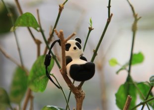   Bone Panda Reader